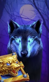 Book Of The Night Wolf